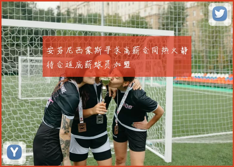 安芬尼西蒙斯寻求高薪合同热火静待合适底薪球员加盟